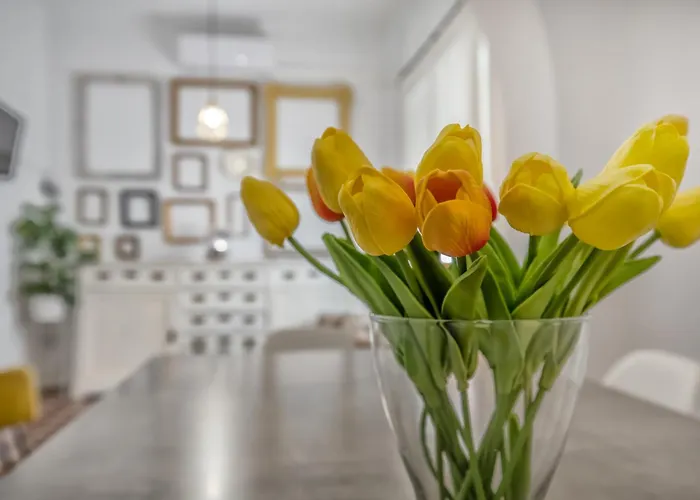 Apartment Homies - Parking Incluido Cordoba